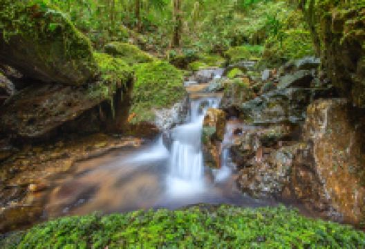 东安舜皇山国家森林公园景点图片