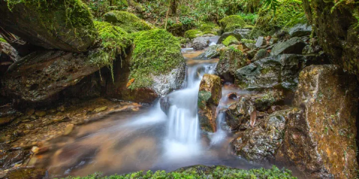 東安舜皇山國家森林公園