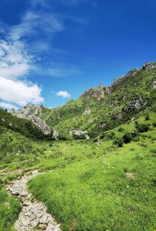阿坝州纳摩大峡谷-若尔盖-爱喝茶的辰琪哥