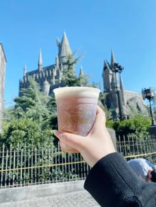 好莱坞环球影城-洛杉矶-YoYo_8B6W3W8I