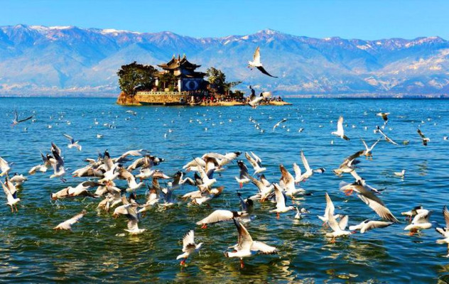 三天两晚看房游,旅居自住两不误