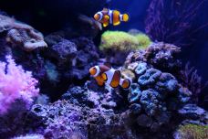 海滨城浩海立方海洋公园-成都-C-IMAGE