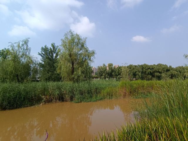 长安城市公园(樊川公园)旅行图片 1