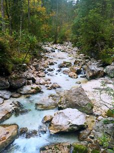 魔法森林-拉姆绍-爱喝茶的辰琪哥