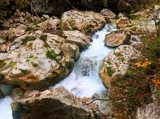 魔法森林-拉姆绍-爱喝茶的辰琪哥