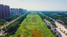 汉长安城未央宫国家考古遗址公园-西安