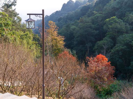 福州鼓山相怀梅园
