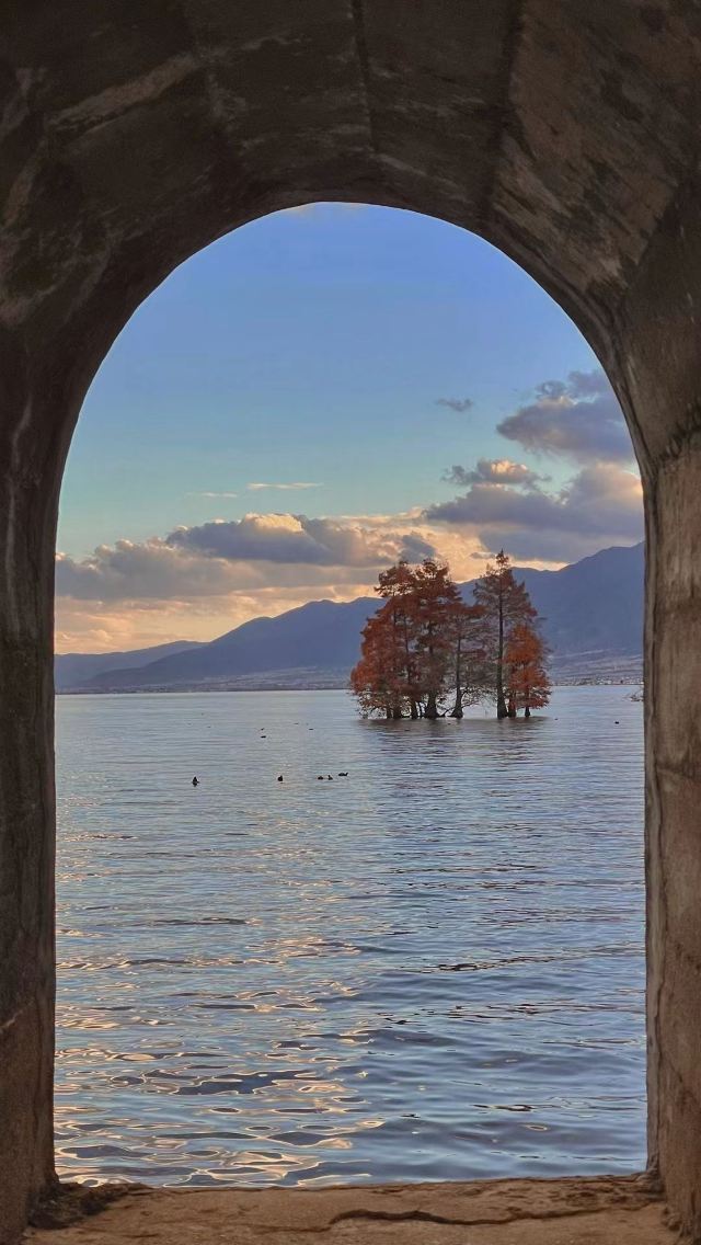 洱海月湿地公园旅行图片 3