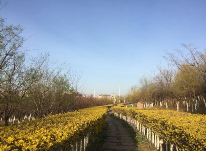 金山森林公园