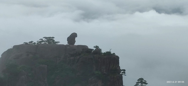 “缘来寂寞”