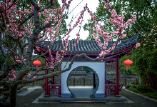 莘庄公园景点图片