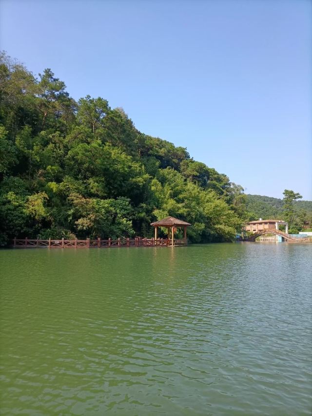 那雾山森林公园旅行图片 5
