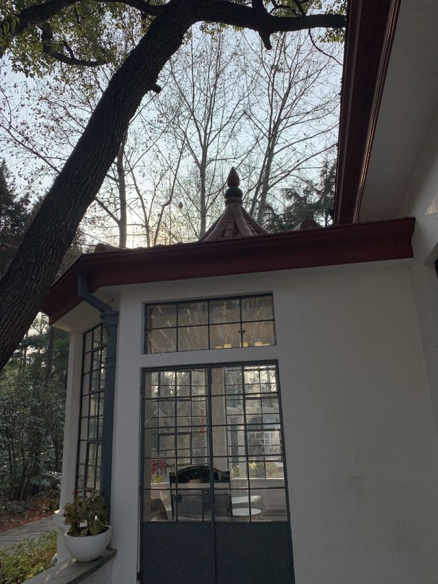 复兴岛公园旅行图片 10