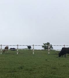 上川岛游记图文-上川岛2日游（佛山出发）