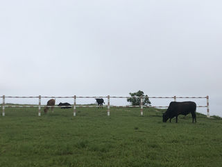 上川岛2日游（佛山出发）