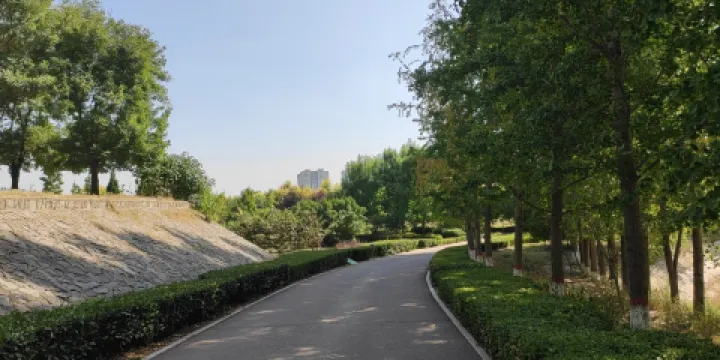 金堤河國家濕地公園