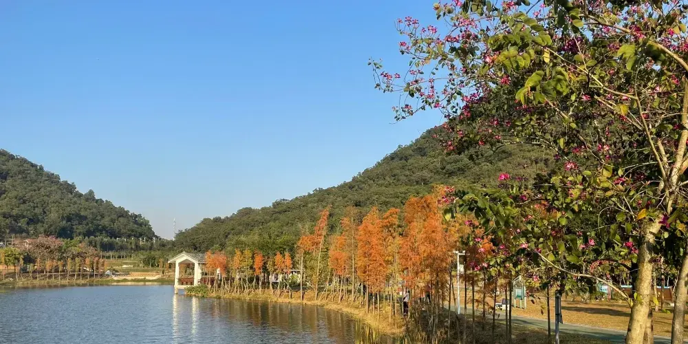 永安旅遊