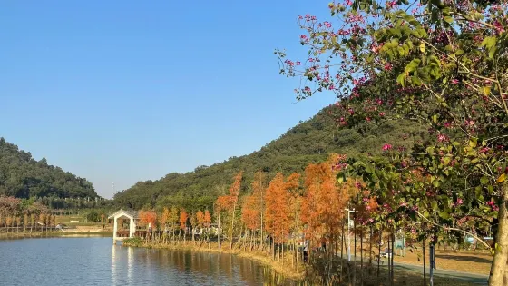 獨田湖公園
