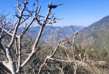 白坡山自然保护区景点图片