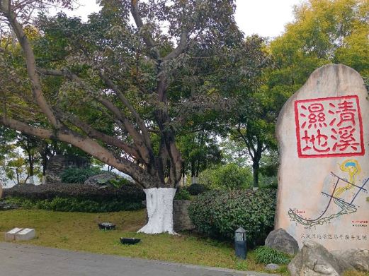 清溪湿地公园