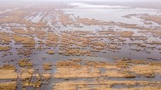 南大港湿地-黄骅