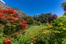 瓦尔特峰高原农场-皇后镇