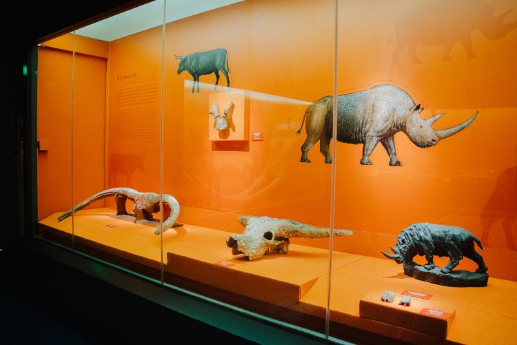 Gallery 1