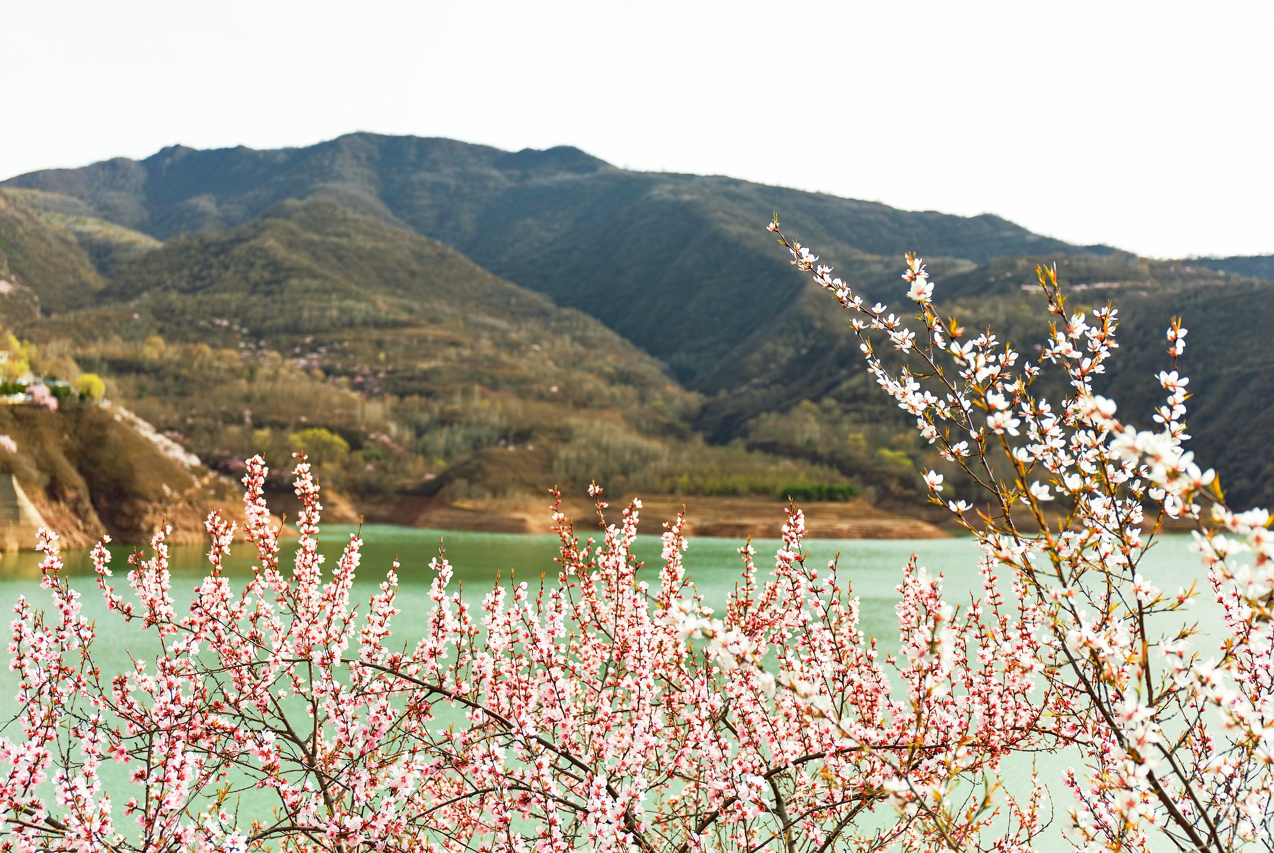 1-Day Pingliang Tour: Natural Beauty of Kongtong Mountain, Historical Depth of Pingliang Museum