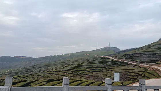 雲台觀