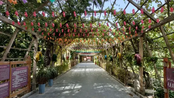 無花果王公園