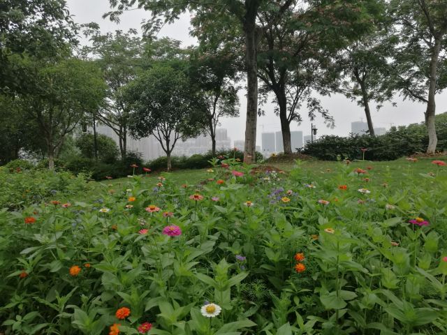 码头潭文化遗址公园旅行图片 6