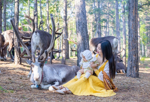 呼伦贝尔游记图文-牵你的小手，我们去看夏季的呼伦贝尔