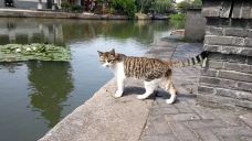 北栅街-嘉善-把剑长歌