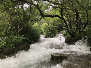 难忘黔行——贵州之旅