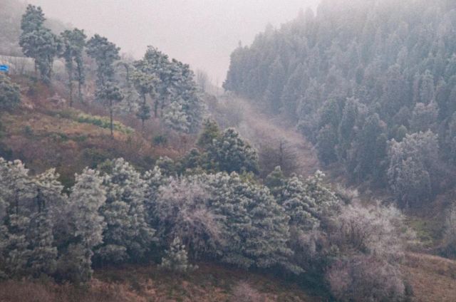 海不日神山旅行图片 1