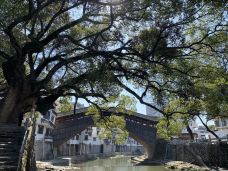 永庆桥-泰顺-YoYo_4Q8Y4N0P