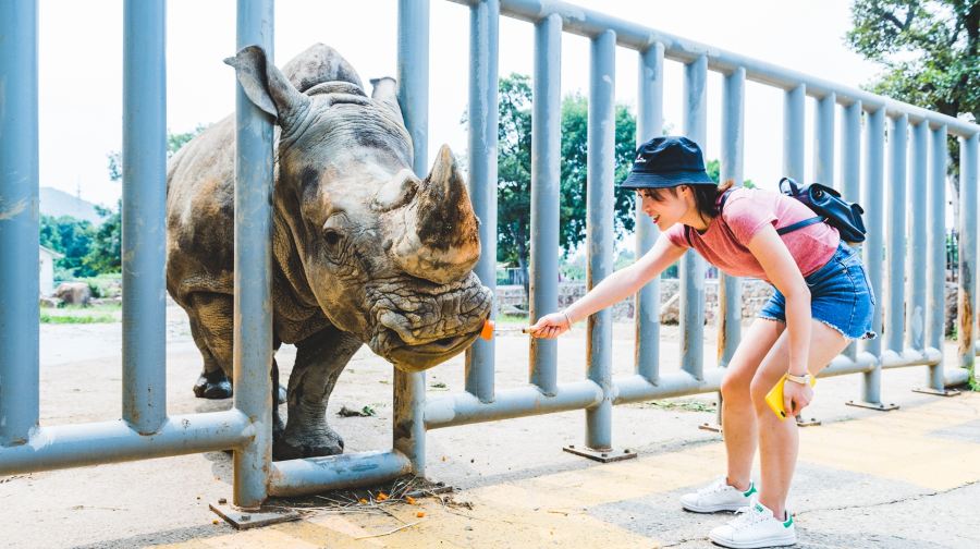 无锡动物园（太湖欢乐园）