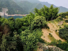 资兴游记图片] 资兴东江湖聚仙农庄民宿，住宿能免景区门票？采摘垂钓不亦乐乎！