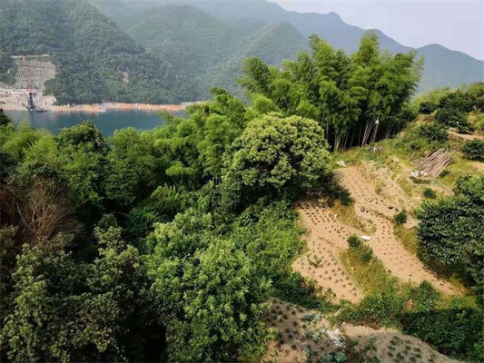 资兴东江湖聚仙农庄民宿，住宿能免景区门票？采摘垂钓不亦乐乎！