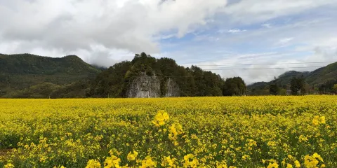 四川空山國家森林公園