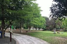 茂名森林公园-茂名-睡恣@M丶