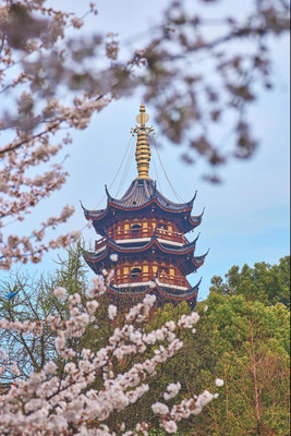 【南京】为什么让人爱上她？