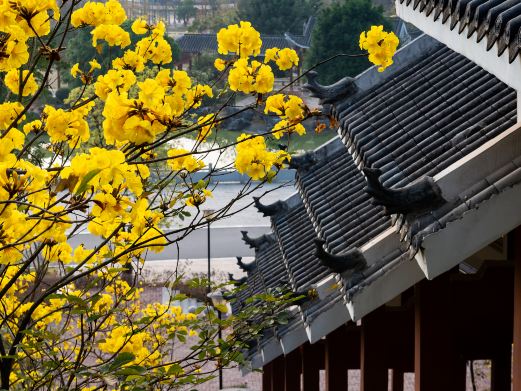南宁市江南公园