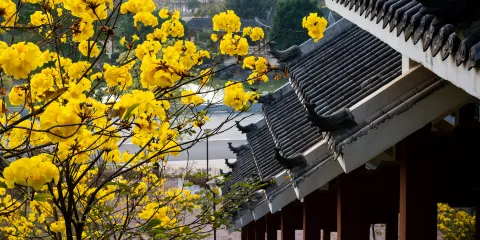 南寧市江南公園