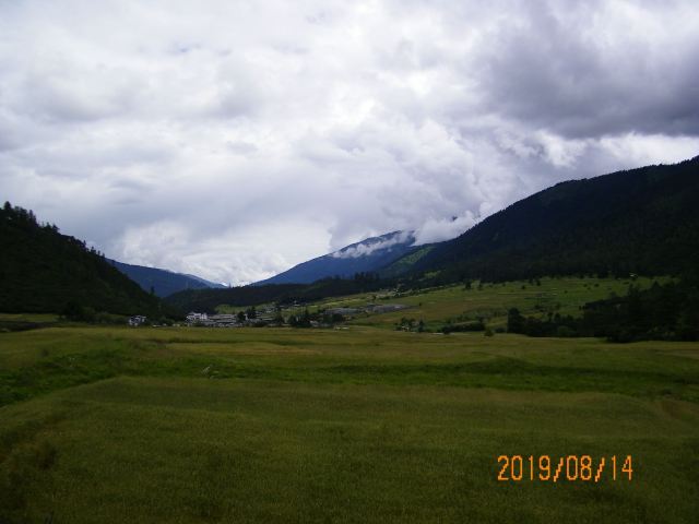 鲁朗林海风景区旅行图片 3