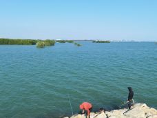 水东湾-茂名-叶子云游