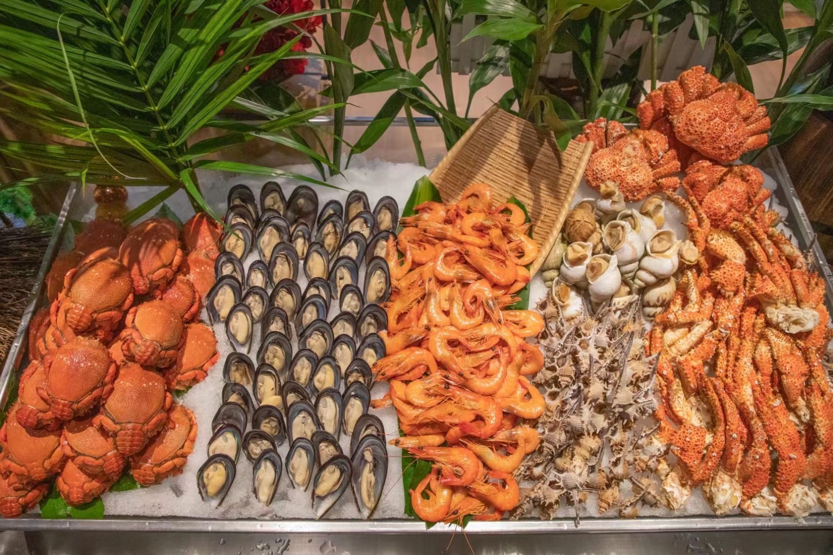 2 Die For Sushi餐厅图片