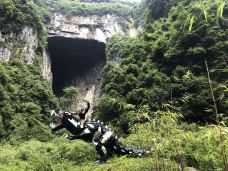 天龙桥-重庆-gz伊妹儿