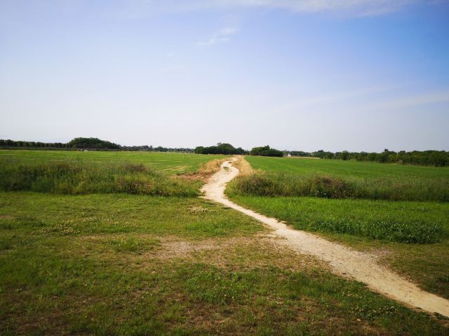 唐顺陵-遗址公园旅行图片 12