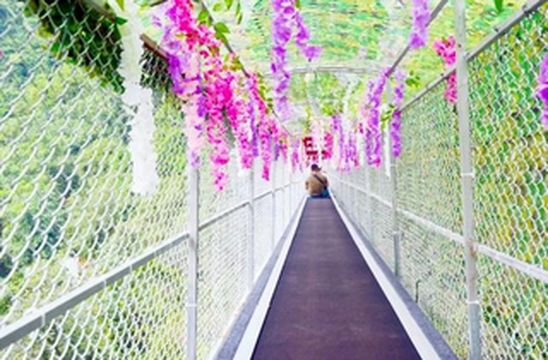 清远旅游,藏着一处神秘天坑,常年恒温22度,探寻天然避暑胜地!